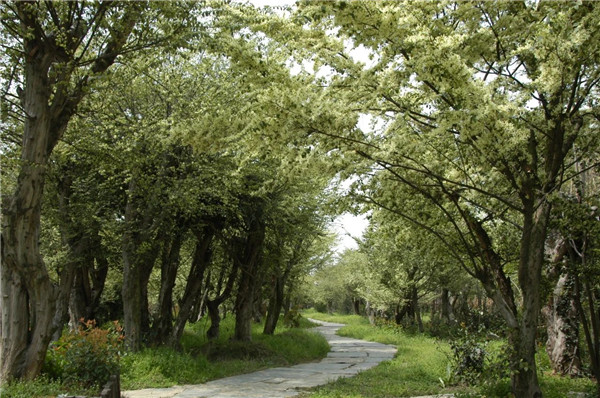 我市一企業(yè)連續(xù)23年獲評農(nóng)業(yè)產(chǎn)業(yè)化國家重點(diǎn)龍頭企業(yè) 將投資14億元打造綠色循環(huán)現(xiàn)代化農(nóng)業(yè)產(chǎn)業(yè)園