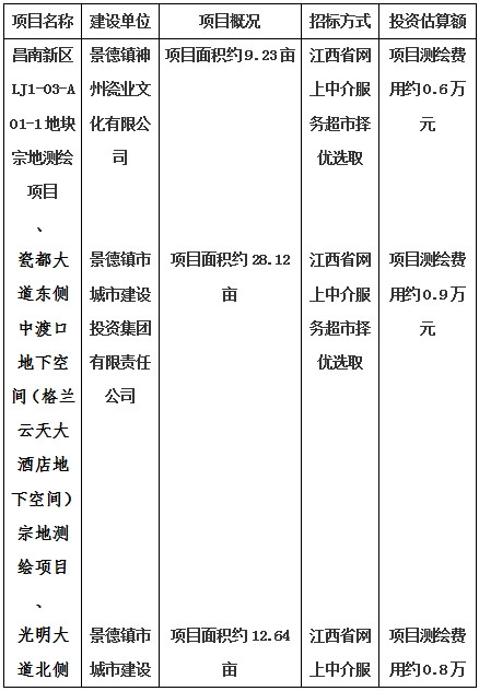 景德鎮(zhèn)市昌南新區(qū)LJ1-03-A01-1地塊、瓷都大道東側(cè)中渡口地下空間（格蘭云天大酒店地下空間）、光明大道北側(cè)利民路西側(cè)地下空間（青少年宮地下空間）、規(guī)劃二路北側(cè)地下空間地塊二（加速基地地下空間）、規(guī)劃二路北側(cè)地下空間地塊一（加速基地地下空間）、景德大道南側(cè)天寶橋西側(cè)地塊、景興大道東側(cè)如意路北側(cè)地下空間(社會(huì)公共服務(wù)
