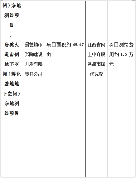 景德鎮(zhèn)市昌南新區(qū)LJ1-03-A01-1地塊、瓷都大道東側(cè)中渡口地下空間（格蘭云天大酒店地下空間）、光明大道北側(cè)利民路西側(cè)地下空間（青少年宮地下空間）、規(guī)劃二路北側(cè)地下空間地塊二（加速基地地下空間）、規(guī)劃二路北側(cè)地下空間地塊一（加速基地地下空間）、景德大道南側(cè)天寶橋西側(cè)地塊、景興大道東側(cè)如意路北側(cè)地下空間(社會(huì)公共服務(wù)