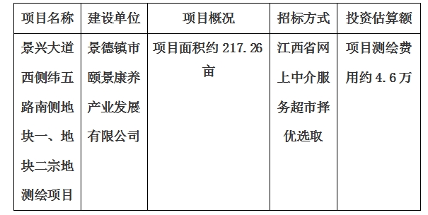 景興大道西側(cè)緯五路南側(cè)地塊一、地塊二宗地