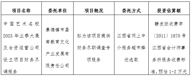 中國藝術(shù)名校2025畢業(yè)季大展及合資運營公司設(shè)立項目財務(wù)盡調(diào)服務(wù)計劃公告