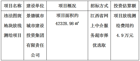 違法圖斑地塊放線測繪項(xiàng)目計劃公告