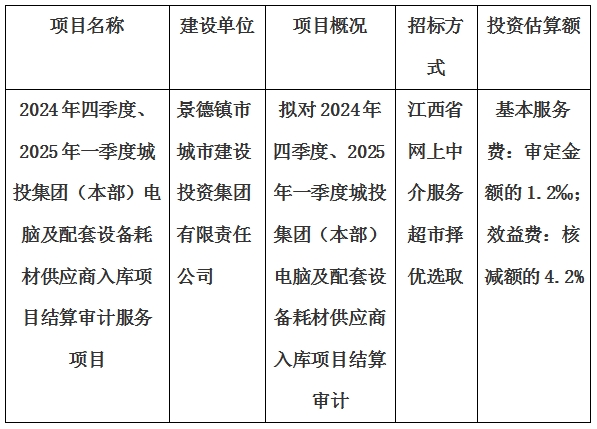 2024年四季度、2025年一季度城投集團（本部）電腦及配套設(shè)備耗材供應(yīng)商入庫項目結(jié)算審計服務(wù)項目計劃公告