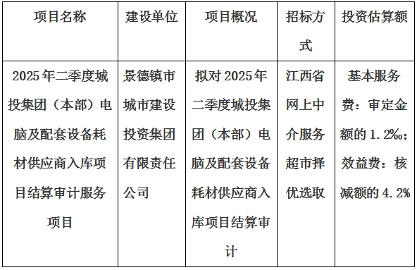 2025年二季度城投集團(本部)電腦及配套設備耗材供應商入庫項目結(jié)算審計服務項目計劃公告