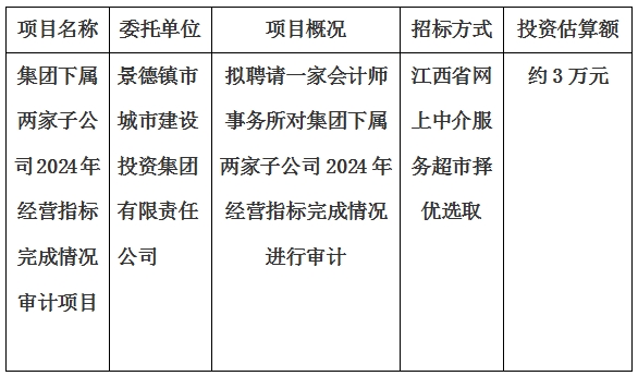集團(tuán)下屬兩家子公司2024年經(jīng)營(yíng)指標(biāo)完成情況審計(jì)項(xiàng)目計(jì)劃公告