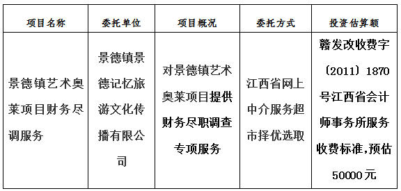 景德鎮(zhèn)藝術(shù)奧萊項目財務盡調(diào)服務計劃公告